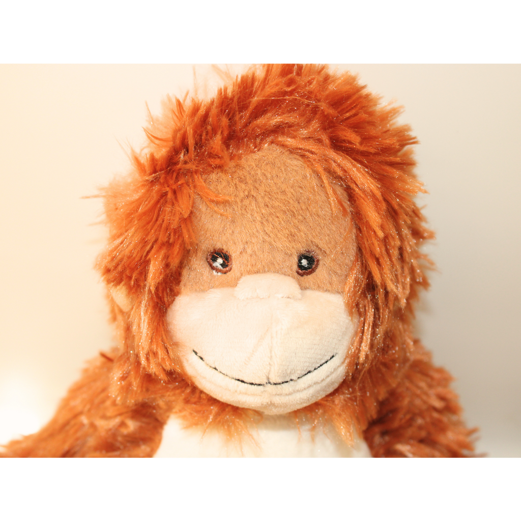 Personalised Memory Bear (Mumbles)