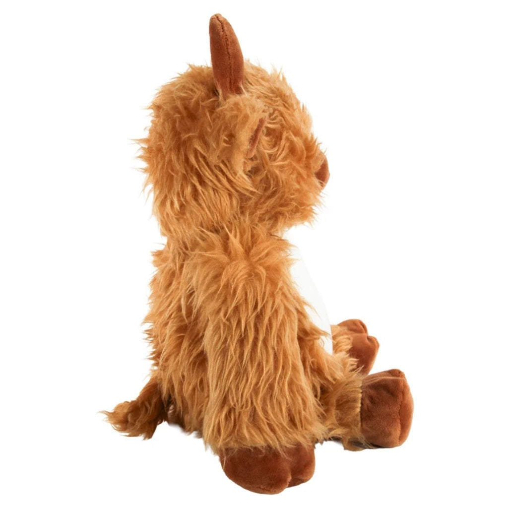 Highland Cow