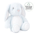 Blue Bunny