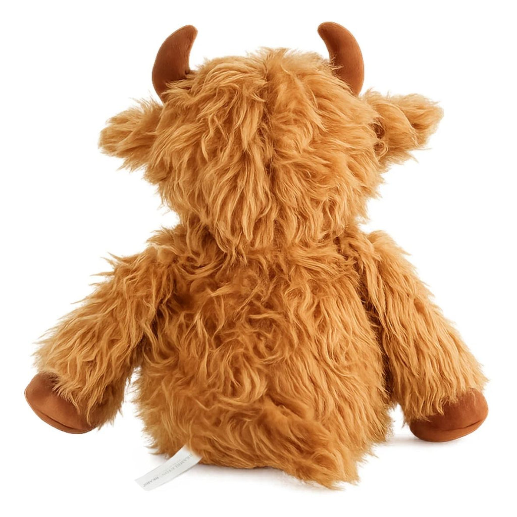 Highland Cow